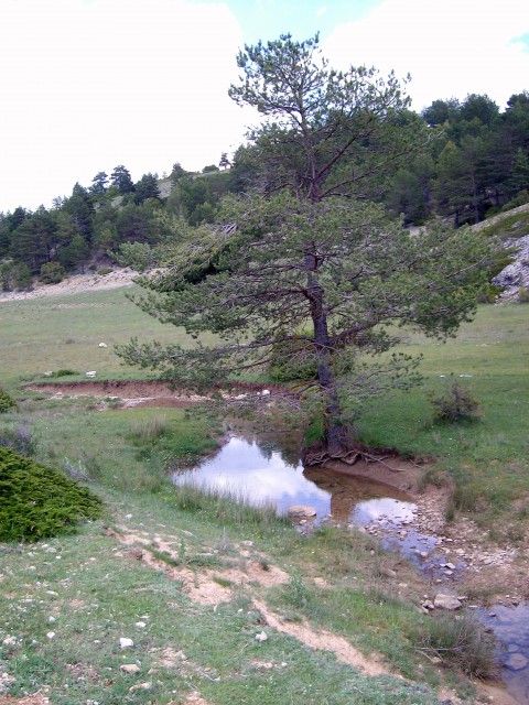 ALIM0051.JPG