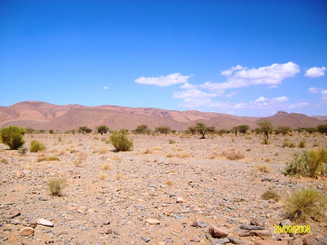 ALIM0614.JPG