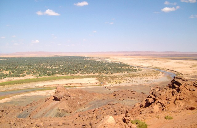 ALIM0530.JPG