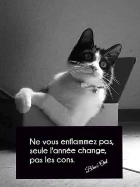 FB_IMG_1609273050289.jpg