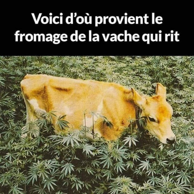 FB_IMG_1609332948650.jpg