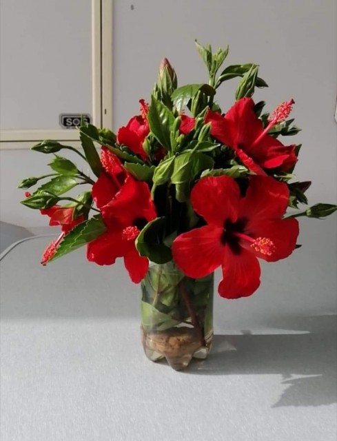 received_452758119227275.jpeg