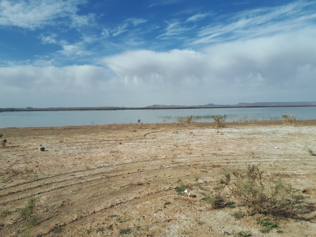 20190307_103405.jpg
