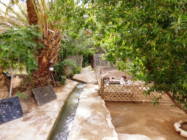P1000285.JPG