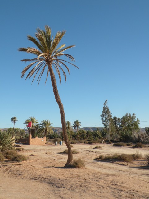 598.JPG