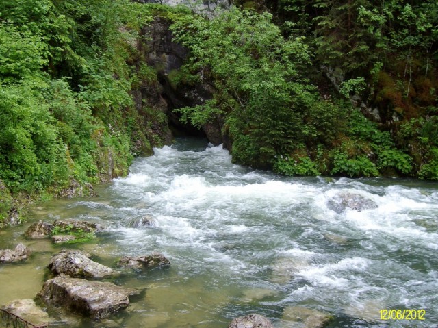 ALIM1373.JPG
