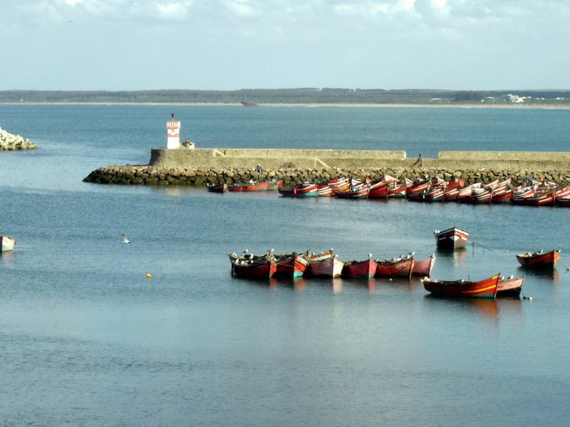 DSC03882.JPG