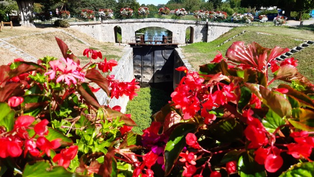 20200824_153844.jpg