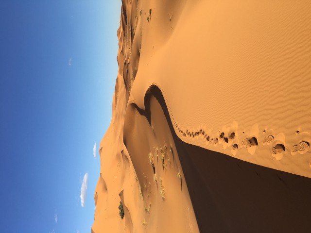 Merzouga avril 2019