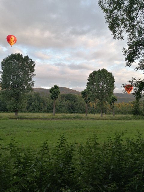 Montgolfières dans le ciel alsacien (hier de bon matin dans la vallée de Munster)