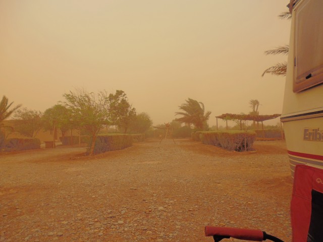 P1000980.JPG