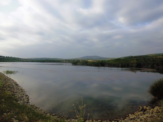 P1000933.JPG