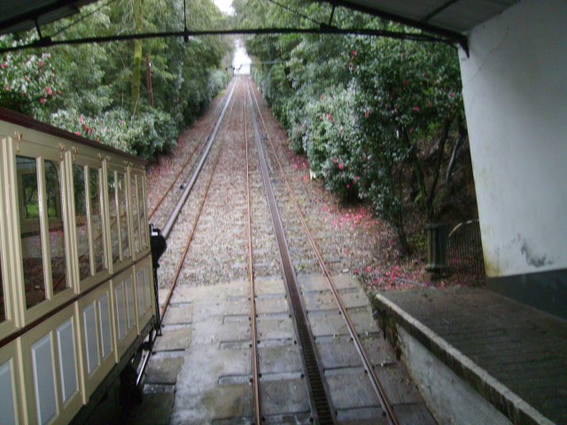 IMGP0073.JPG