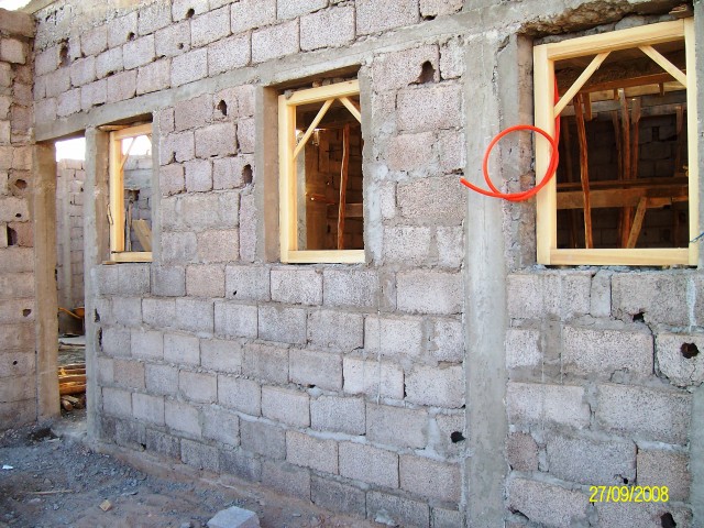 ALIM0602.JPG