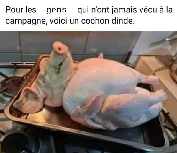 FB_IMG_1639522781394.jpg