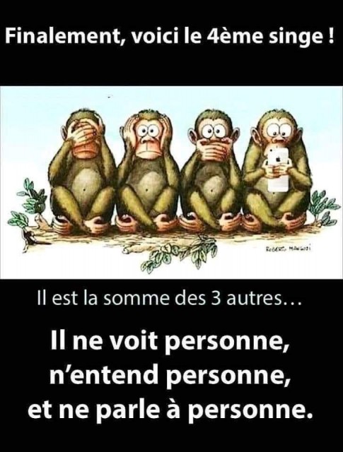 FB_IMG_1644254658804.jpg