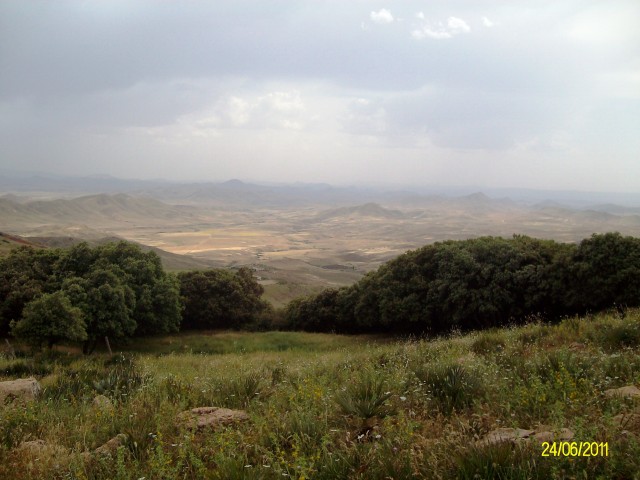 ALIM1131.JPG