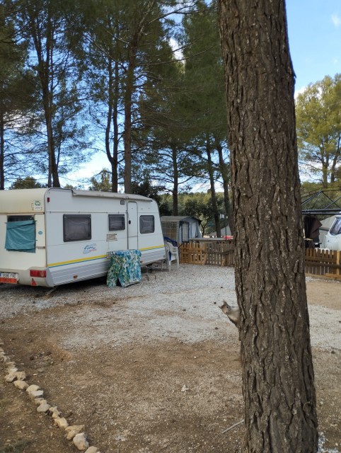 Oui oui monsieur l'écureuil surpris sur son  tronc ,il s'agit bien d'un client dans ton camping qui te prend en photo (camping Sierra Maria :janvier 2023)