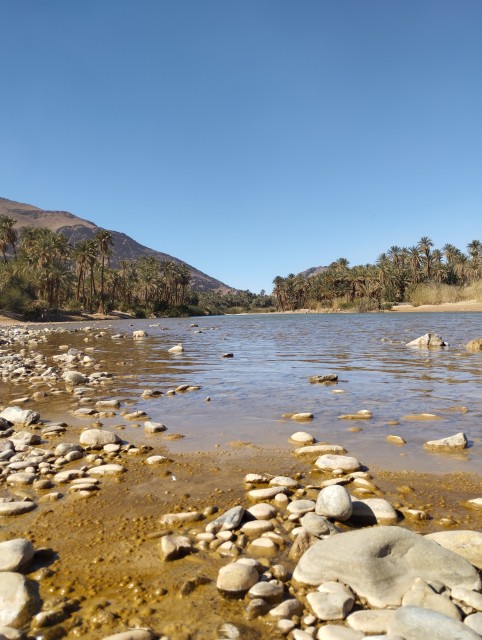 Oued et palmeraie d'Akka