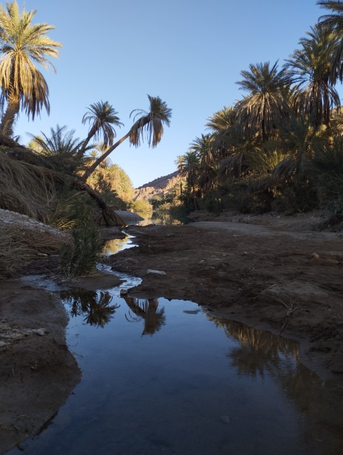 Résurgence de l'oued Akka