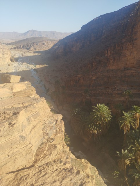 L'oasis Targant vue depuis les falaises