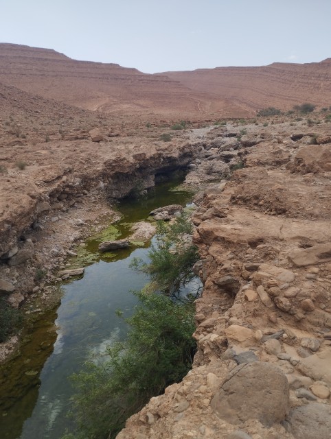 Désert : entre eau et rochers