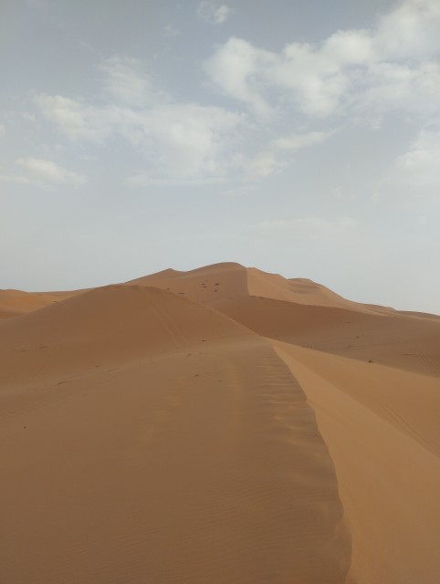 La grande dune de Merzouga (erg Chebbi )