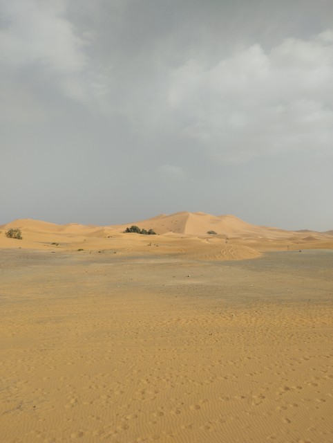 La grande dune de Merzouga (erg Chebbi )