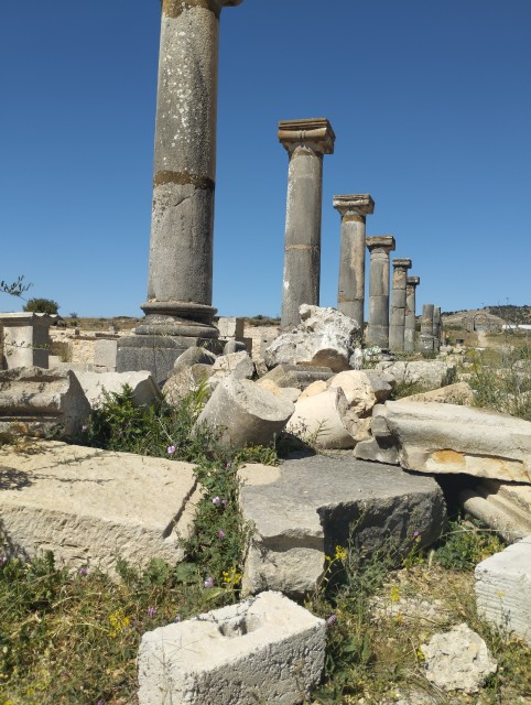 Volubilis