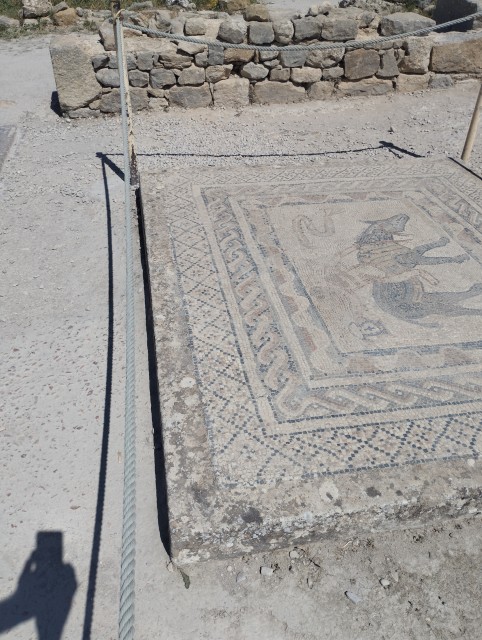 Mosaïques (Volubilis )