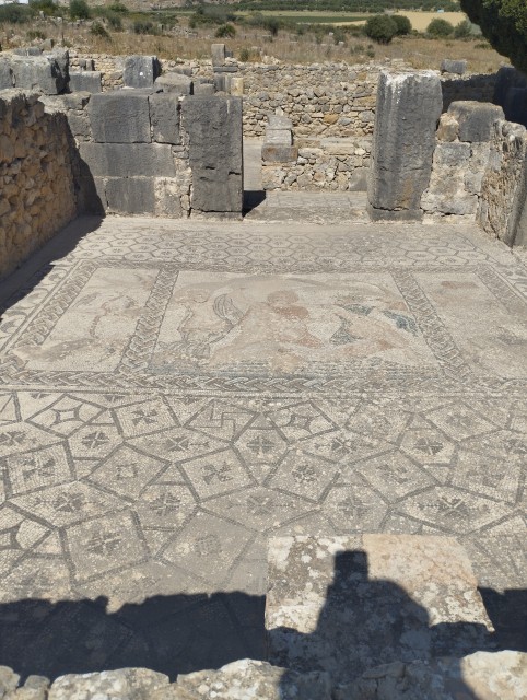 Mosaïques (Volubilis)