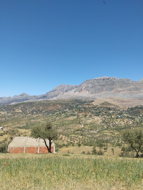 Paysages du Rif marocain au nord de Chefchaouen