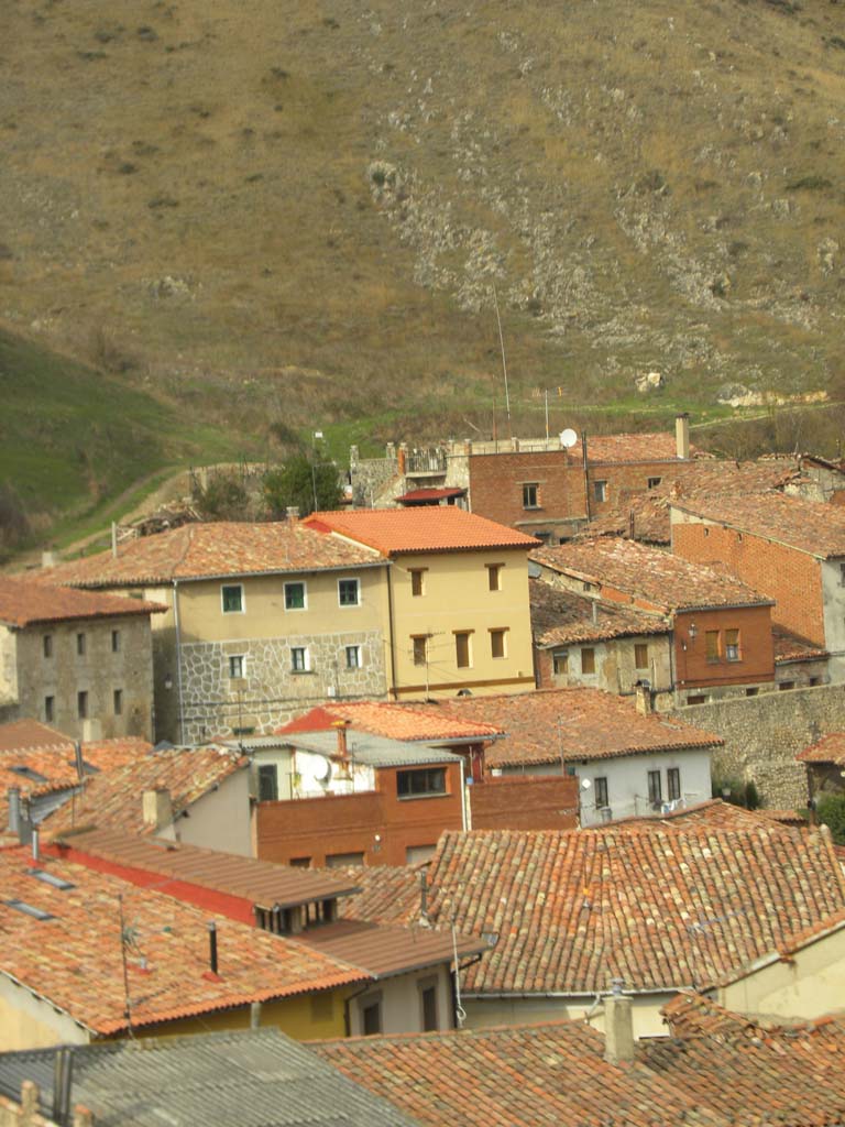 DSCN9003-1.jpg