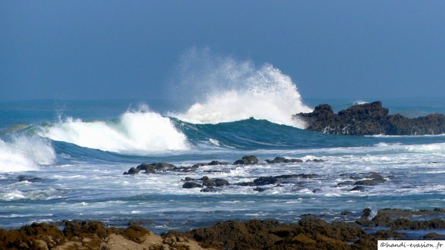 P1040216_modifié.JPG