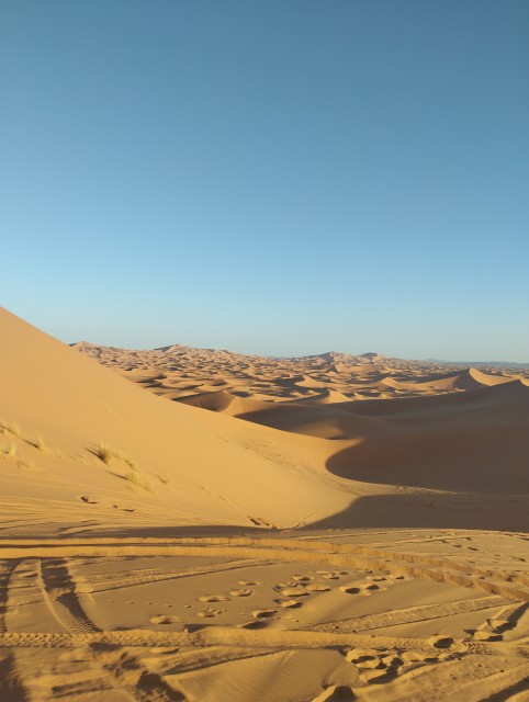 Pour AMG46 et pour tous les amoureux du désert sous toutes ses formes .Erg Chebbi (secteur d'Hassilabied ) 11 novembre 2023