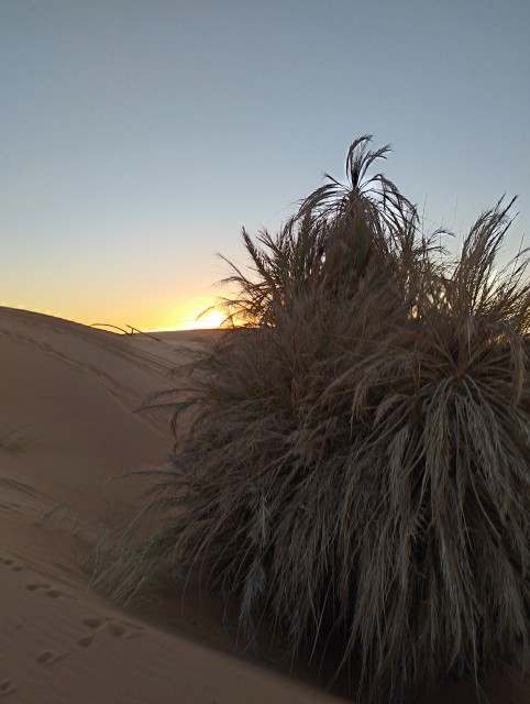 La lune se lève et le soleil se couche sur l'erg Chebbi (il y a quelques jours