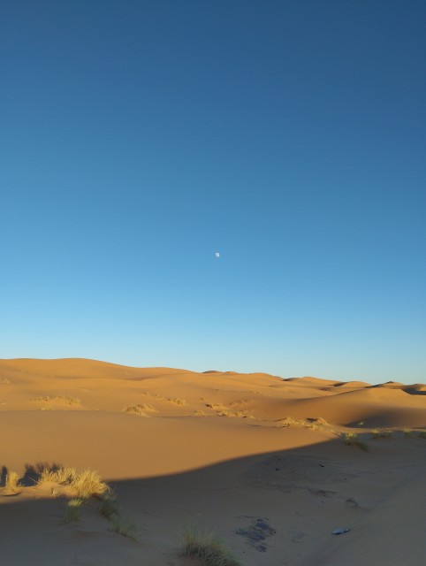 Erg Chebbi : grande dune,lune et ciel bleu depuis le village sur la piste entre Hassilabied et Merzouga