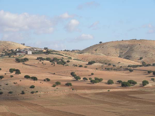 DSCN9389-1.jpg