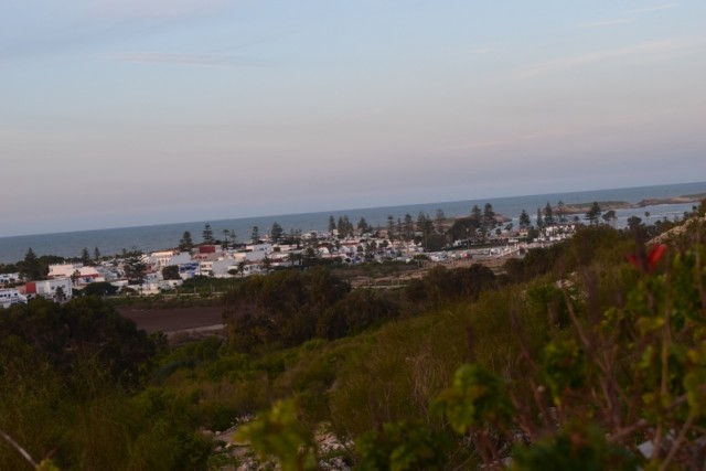 DSC_0017222.jpg