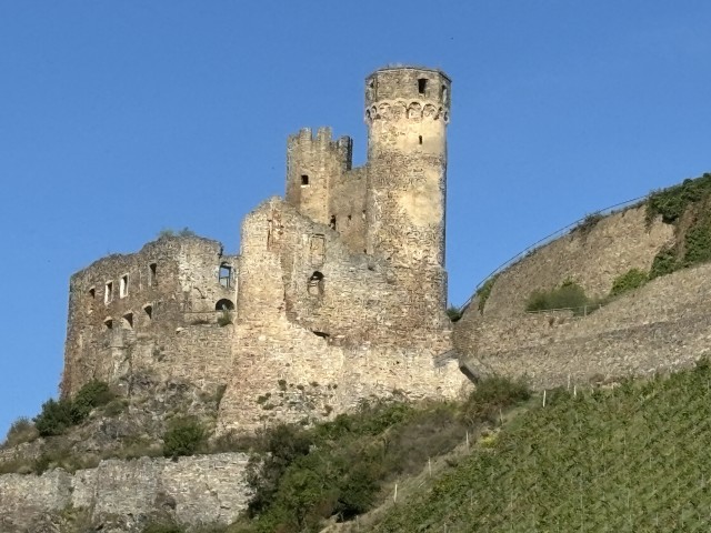 IMG_1161.jpeg