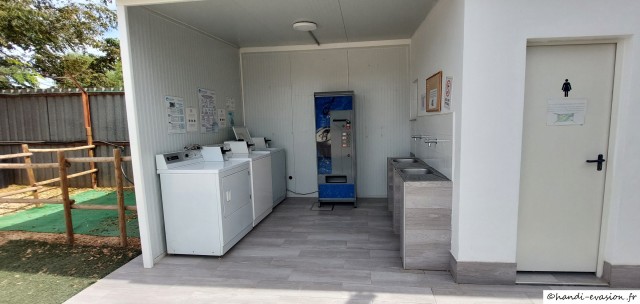 20241002_154453.jpg