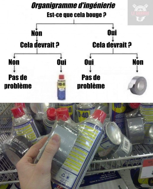 FB_IMG_1731263181223.jpg
