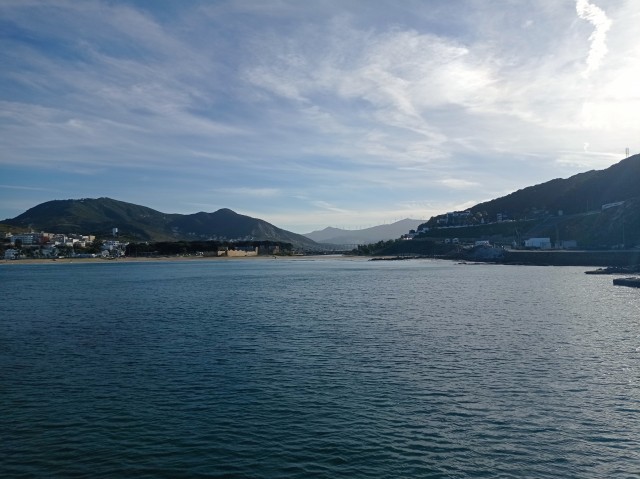 IMG_20241208_161156.jpg
