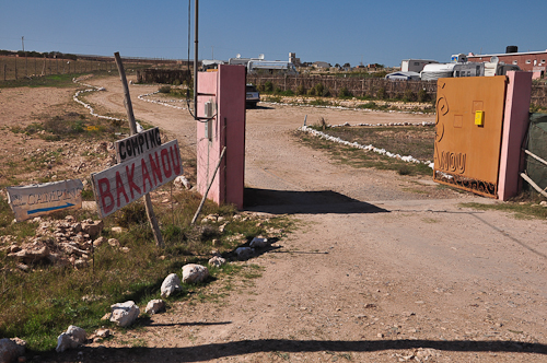 DSC_0286.jpg