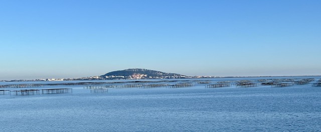 IMG_5778.jpeg (1.1 Mio) Vu 7965 fois Étang de Thau avec ces parcs à huîtres