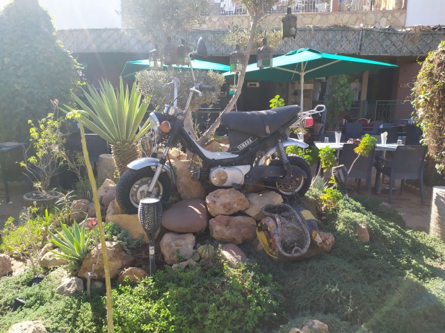 Resto 1.jpg