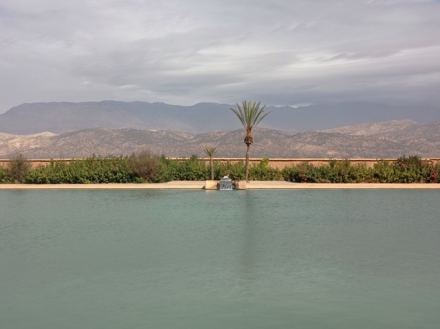 IMG_20250218_121130.jpg