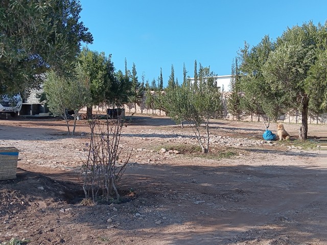 20250219_170022.jpg