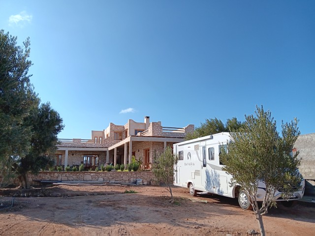 20250219_170316.jpg