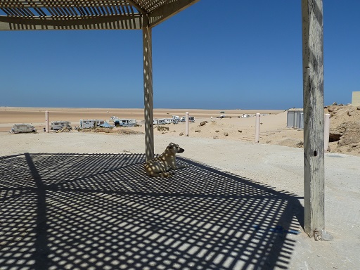 dakhla.JPG